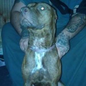 amandah112986 avatar