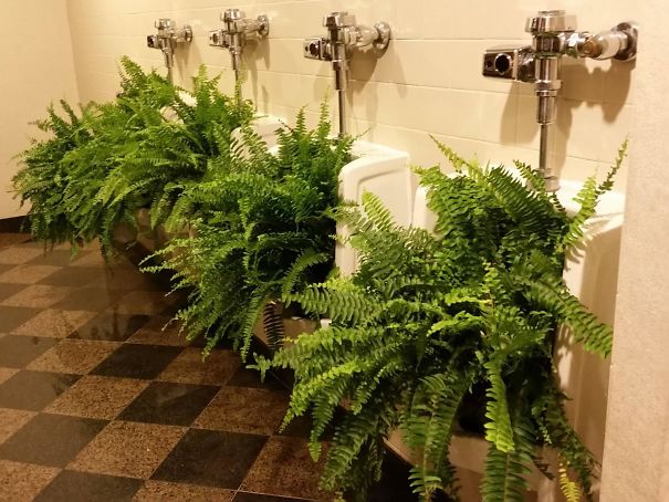 This Hotel Converted One Of Their Men's Restrooms To Women's, And This Was Their Solution To The Urinals