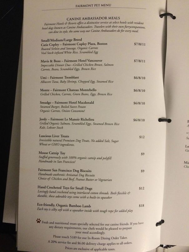 My Hotel's Room Service Menu Has A Whole Page Of Dog Food