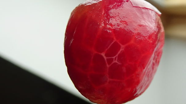 I Peeled A Cherry And It Blew My Mind