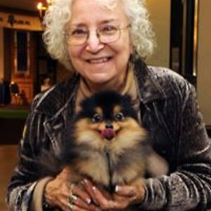 kaymartin_civetta avatar