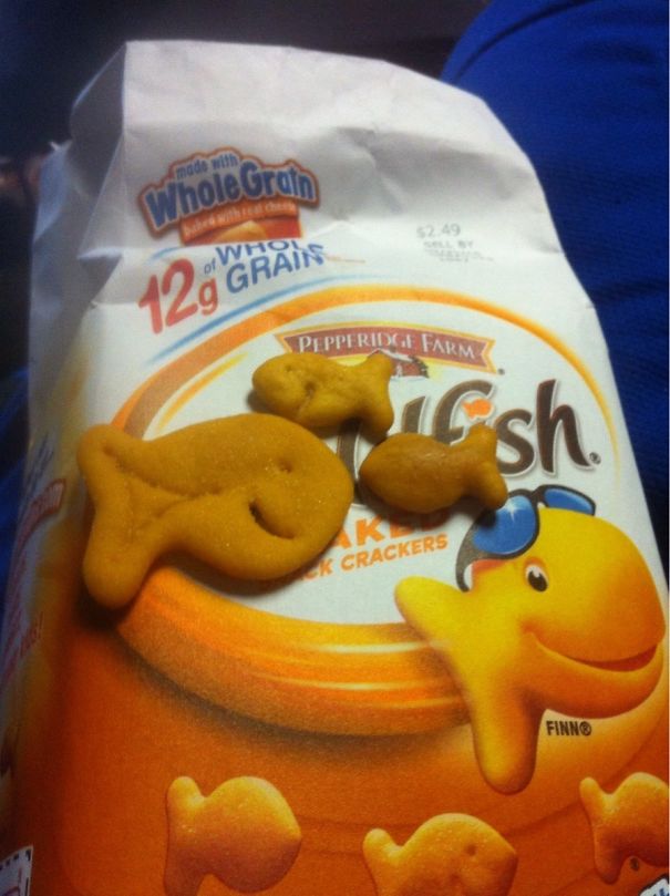 Found This Extra Large Goldfish Mixed In With The Normal Ones