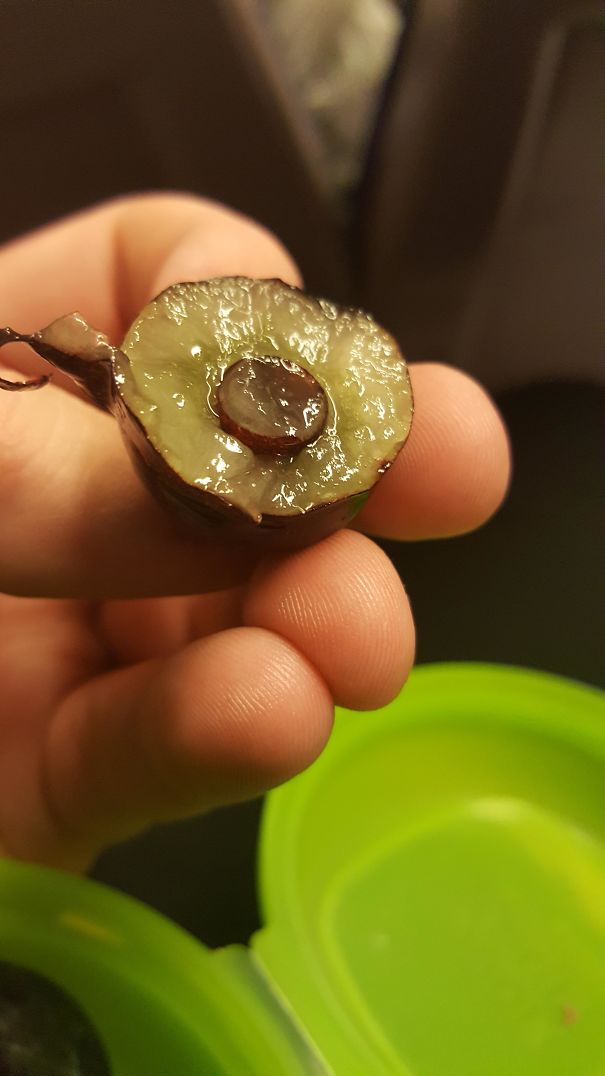 My Grape Had Another, Smaller Grape Inside Of It