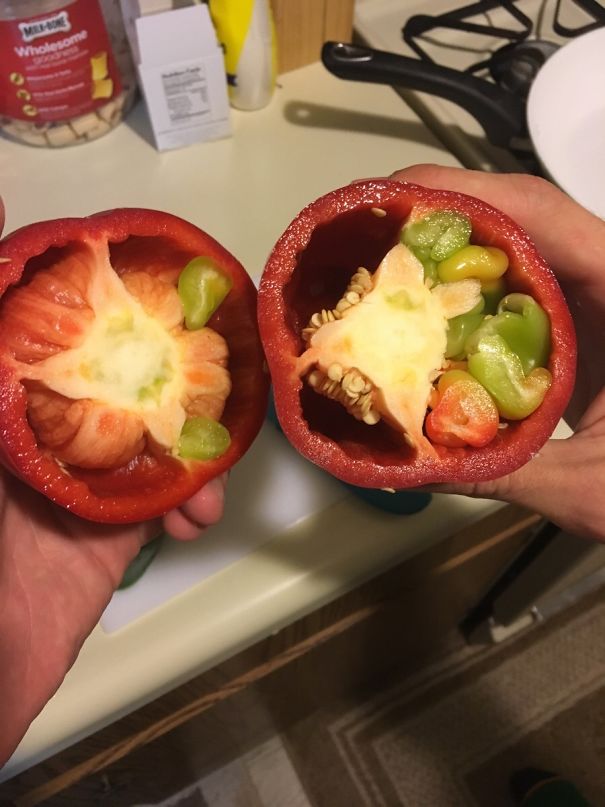 My Pepper Had Peppers Growing Inside It