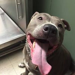 marymarymarineau1970 avatar