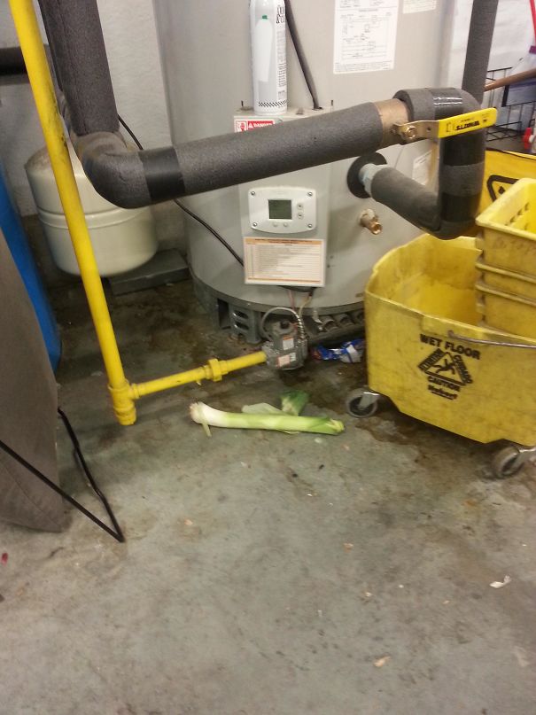 Co-Worker Came Running Into My Office And Said "There Is A Big Leak Under The Water Heater"