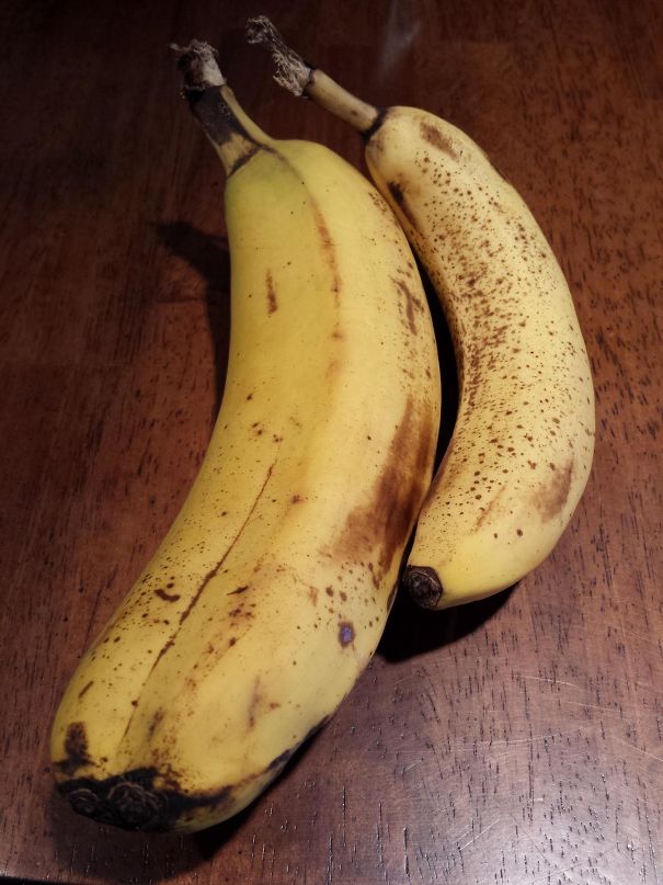 Huge Conjoined Banana (banana On The Right To Scale)