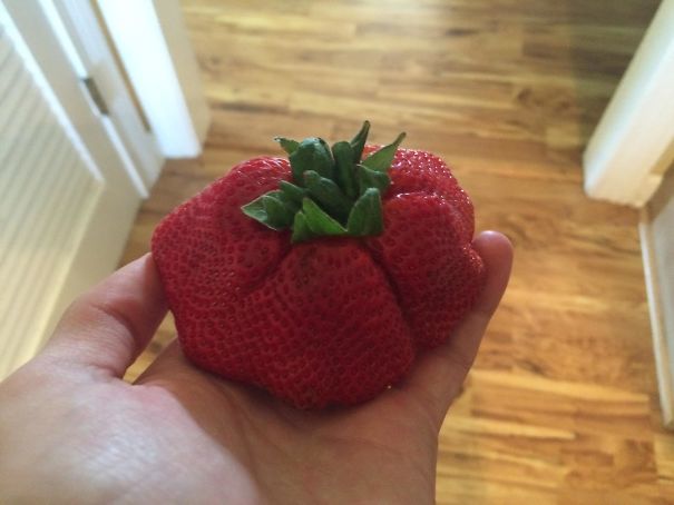 This Huge Strawberry I Found In A Strawberry Container