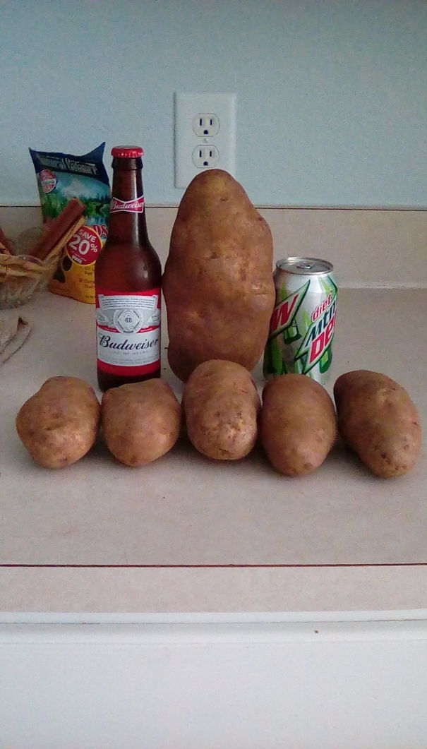 Found A Huge Potato In My Bag Of Otherwise Normal Sized Potatoes