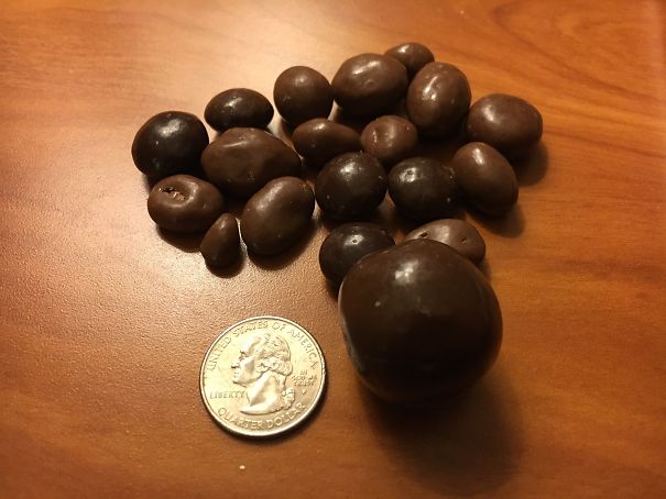 This Enormous Malted Milk Ball I Found In My Bag Of Bridge Mix