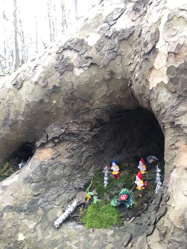 Someone Put Little Gnomes In A Tree At My Local Park