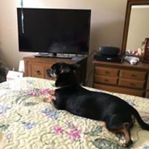 church_pianist65 avatar