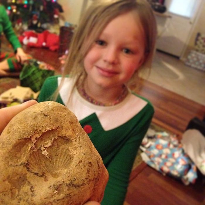 Mi hija encontró un fósil y me lo regaló en Navidades