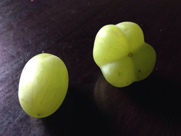 Found A Quadruple-Grape