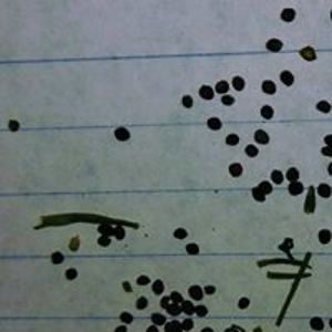 aaronbrunsell avatar