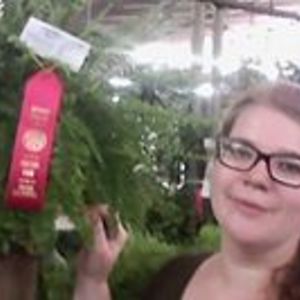 denisewallace3232 avatar