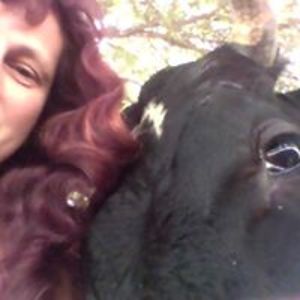 keysforgottenfelines avatar