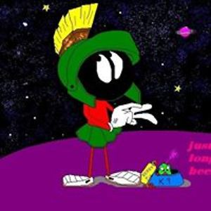 citygardenwalls avatar