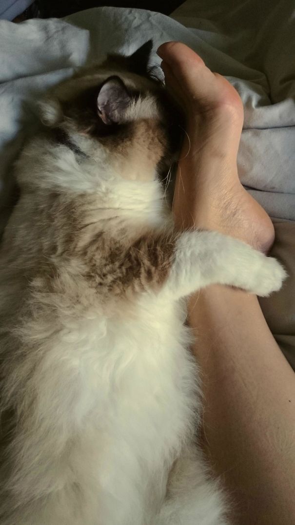 Woke Up To Find Him Spooning My Partner's Foot