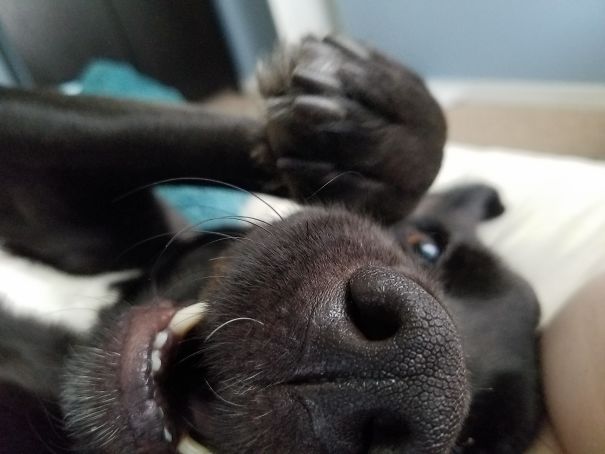 This Is What My Wife Wakes Up To Every Morning