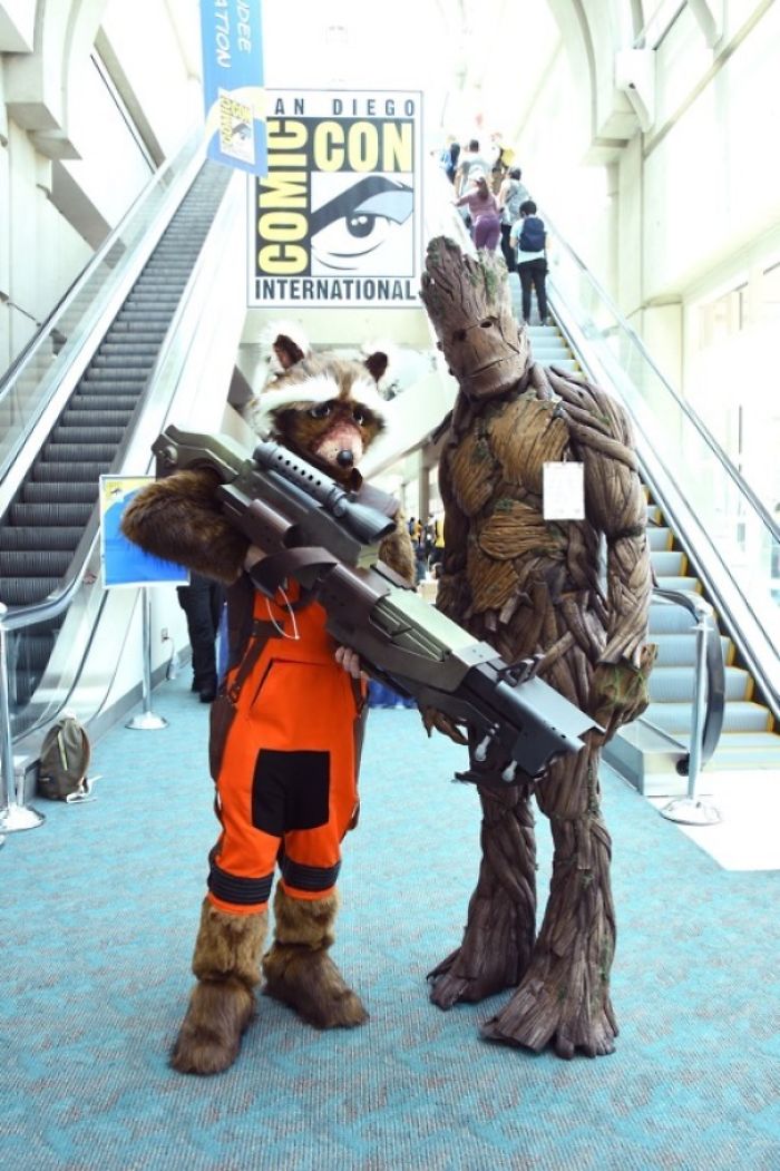 Rocket Raccoon And Groot, Guardians Of The Galaxy