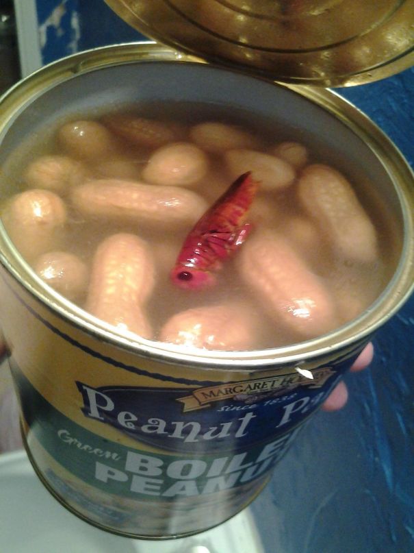 My Daughter Just Opened This Can Of Boiled Peanuts