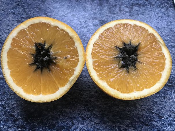 I Cut Open An Orange To Find This Black Decay Coming From Its Center