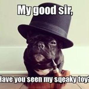 stephanie_pajonk_beaty avatar