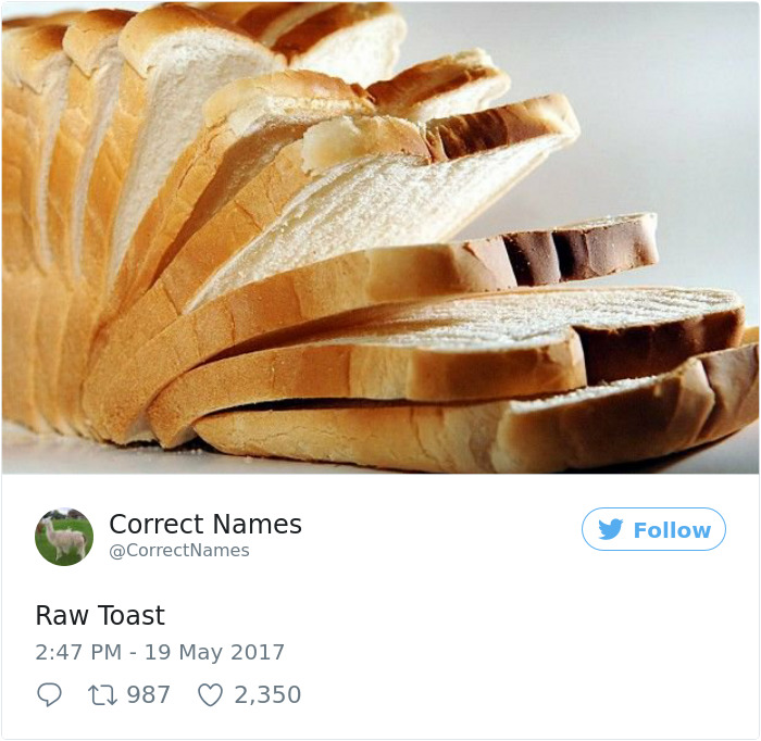 This Twitter Account Is Renaming Everyday Objects And They're More Accurate  Than The Real Ones | Bored Panda