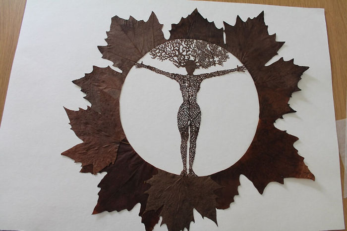 Lorenzo M. Durán's Leaf Art: Evolution