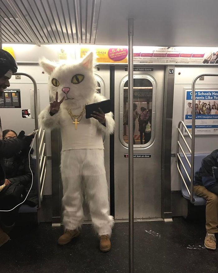 Catman In A Train