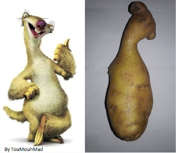 When You Meet Sid From Ice Age Animation In Real Life !! Lol :d
