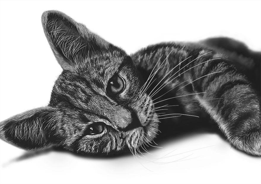 A Cat Comes To Life: 6 Hours In 150 Seconds