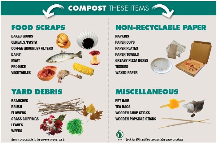 Compostable Materials, What To Compost Around Us