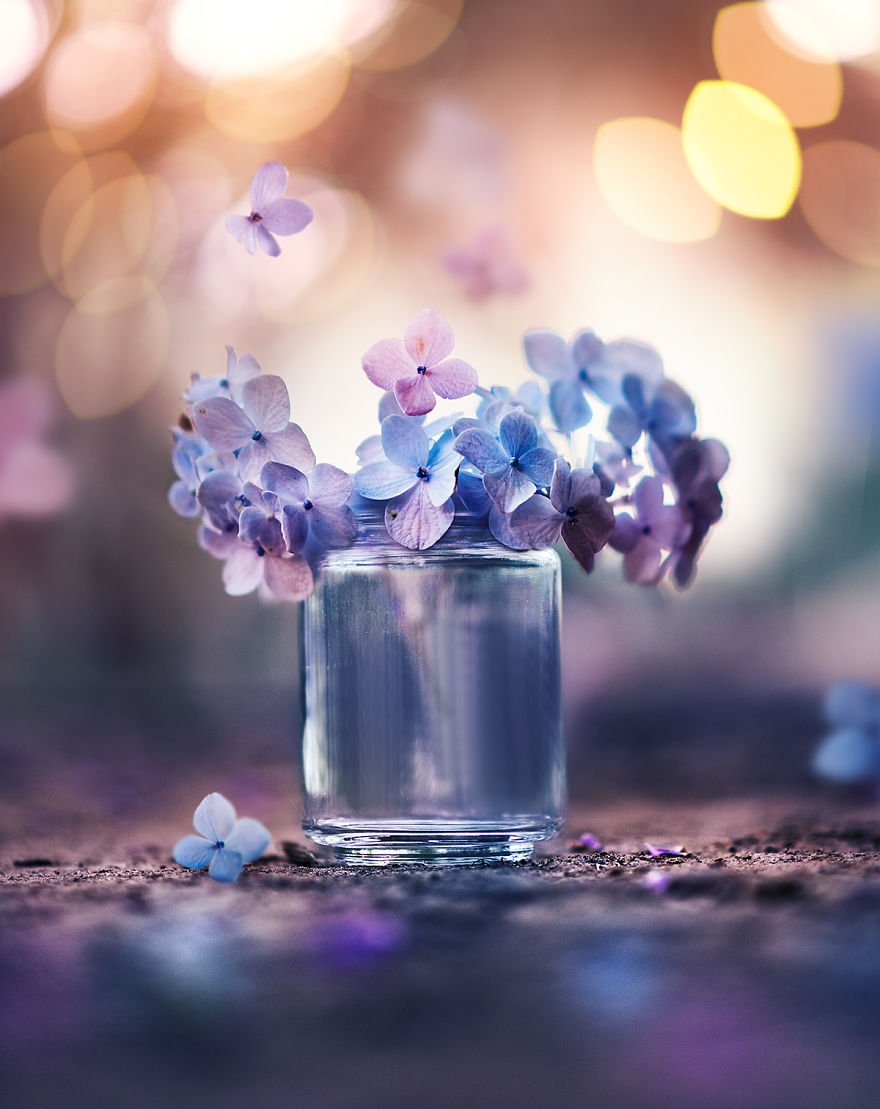 I Use Flowers To Create Magical Images
