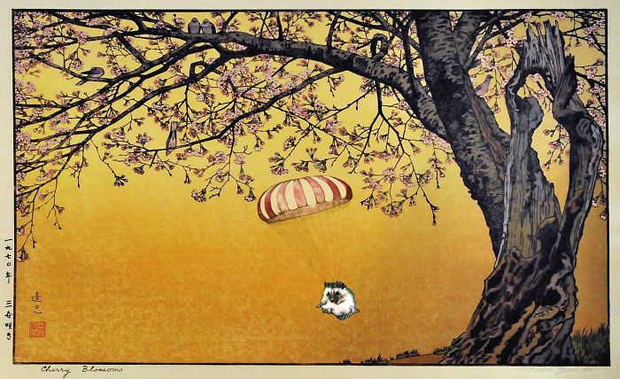 Toshi's Cherry Blossoms And Parachuting Hedgehog
