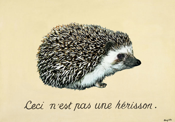 Magritte's Treachery Of Hedgehog Images
