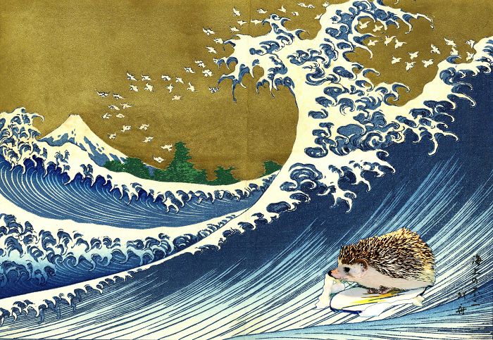 Hokusai's Hedgehog Catching Wave