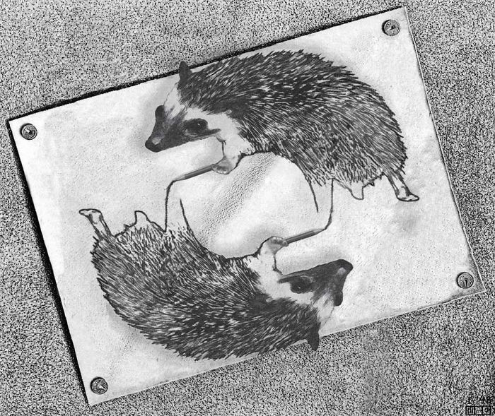 Escher's Hedgehogs Drawing Hedgehogs