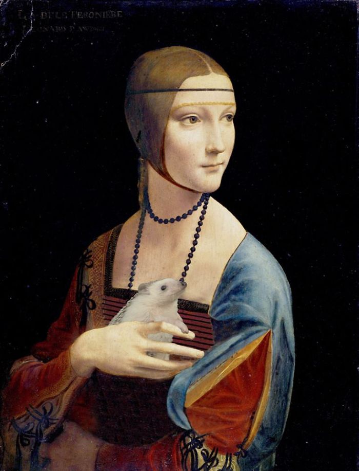 Da Vinci's Lady With A Hedgehog