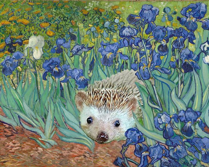 Vincent Van Gogh's 'Irises And Also A Hedgehog'