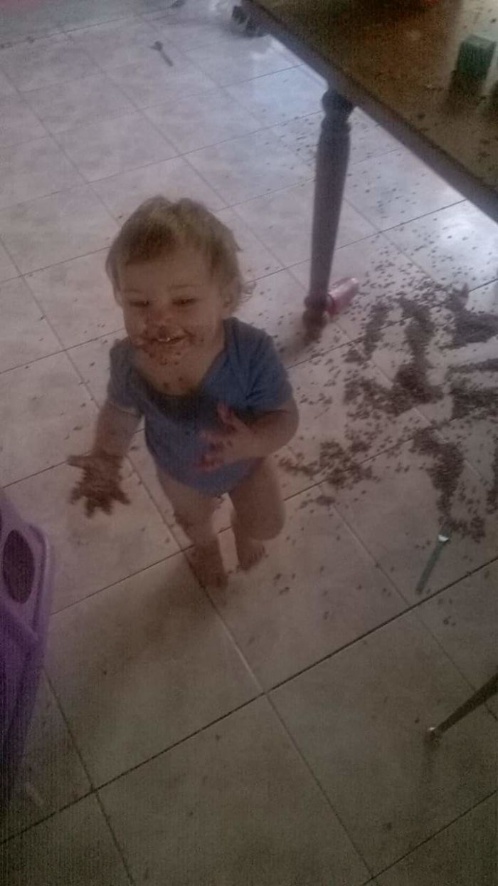 Coco Pops Taste Better Off The Floor According To This Little Lady