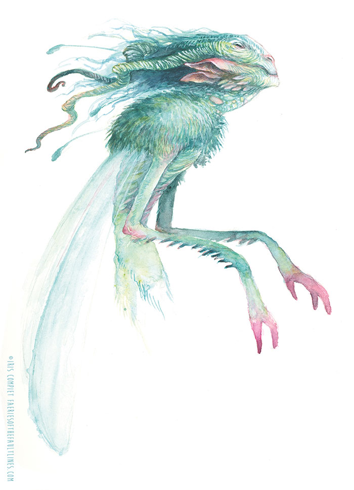 Faeries Are Taking Over.... An Artbook By Iris Compiet