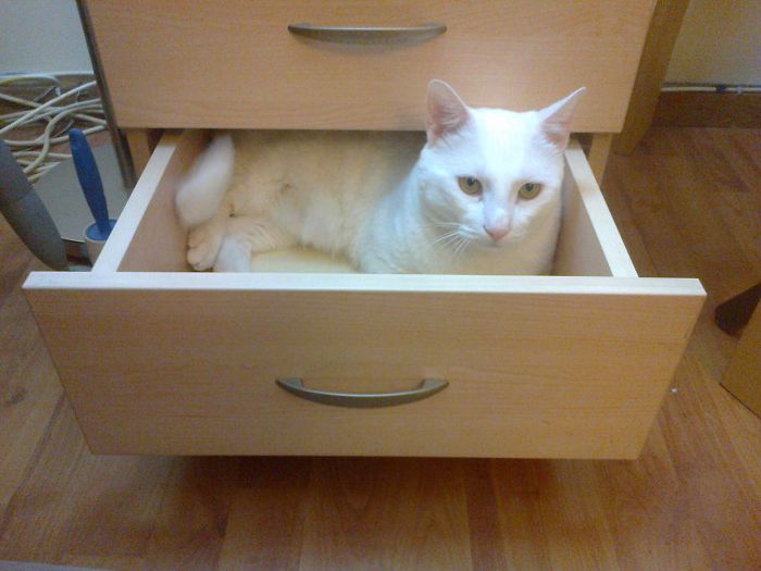 Not Only Do I Fit But Also ...