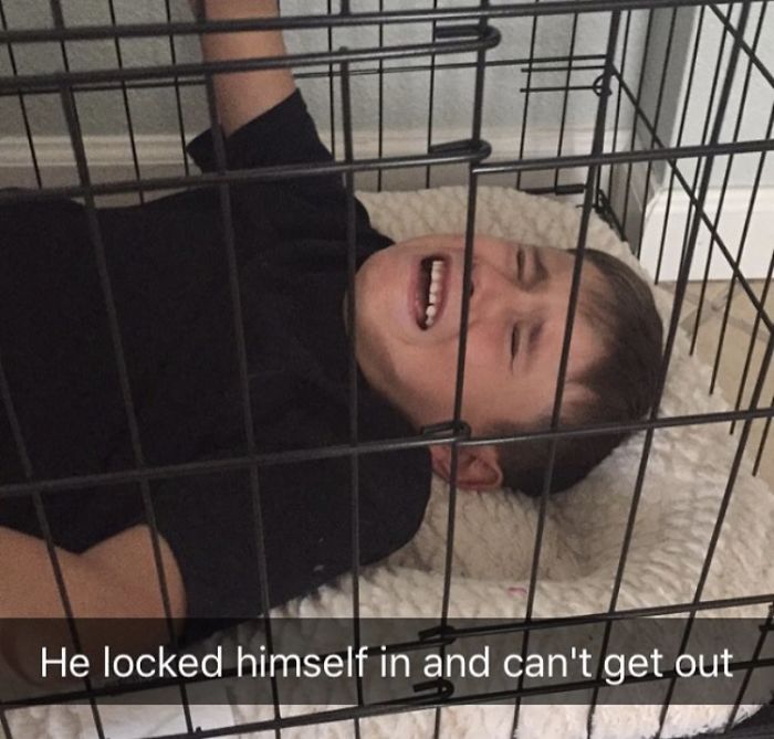Playing In The Dog Crate Gone Bad!