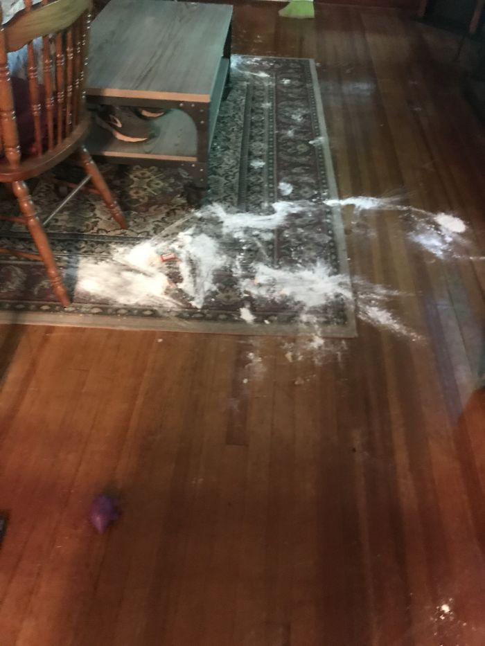2yr Old +9 Month Old German Shepherd + Left Alone For 5minutes = Baking Soda Snow Storm.