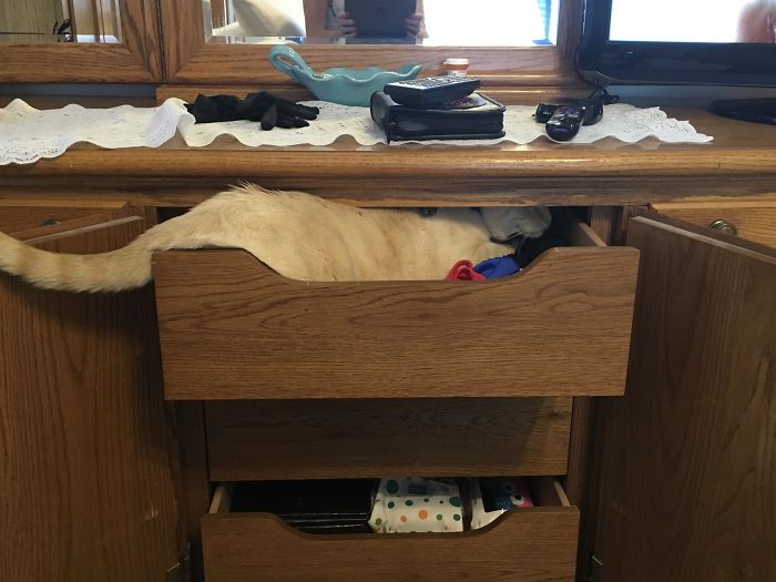 I Can Fit, I Am Sure I Can Fit