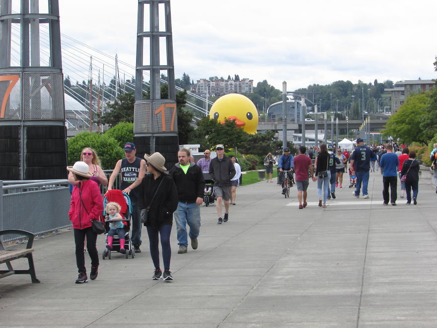 Giant Rubber Duck Descends Upon Tacoma