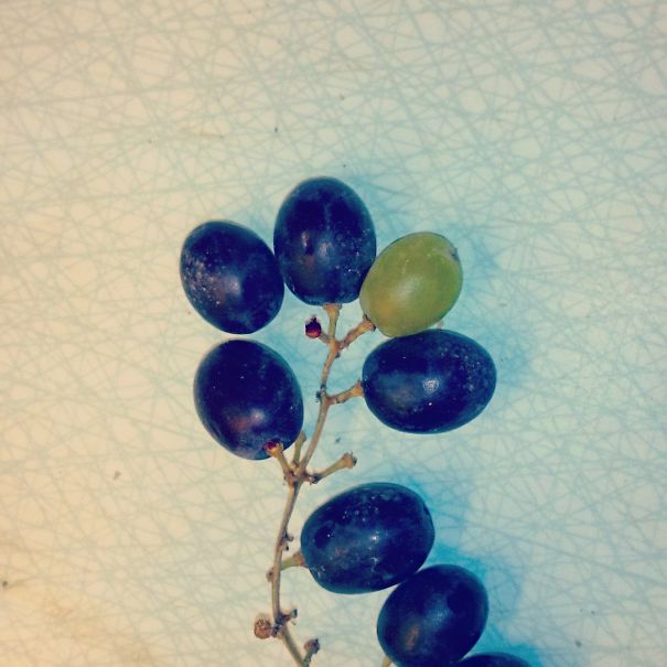 I Got A White Grape In My Blue Cluster