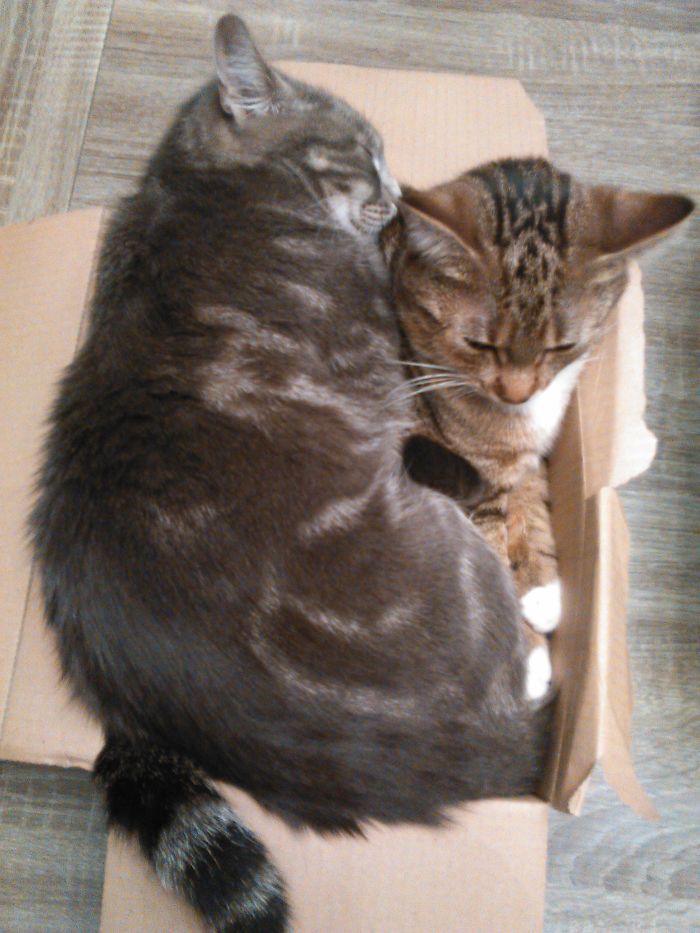 It's My Box, Not Yours !